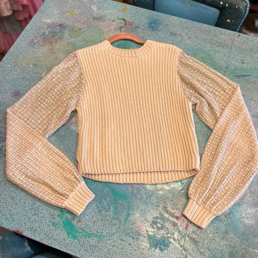 Sheer Sleeved Sweater